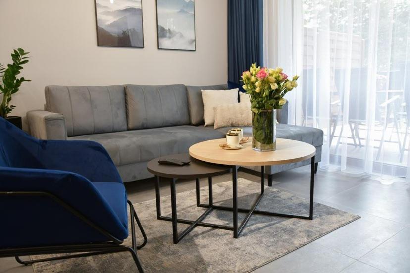 Apartament Prywatny Stone Hill Rackiewicz Z Basenem Szklarska Poręba Exterior foto